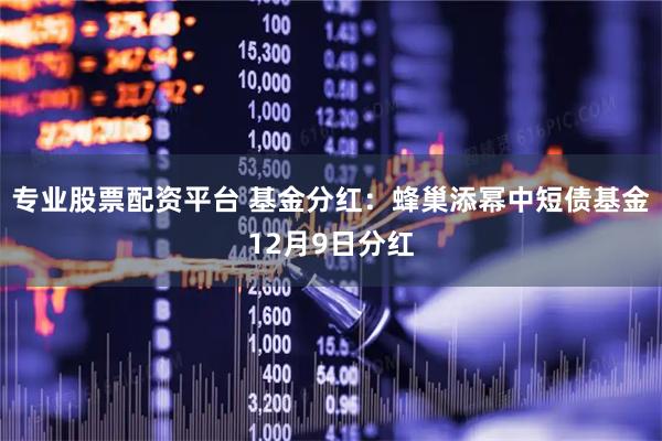 专业股票配资平台 基金分红：蜂巢添幂中短债基金12月9日分红