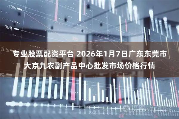 专业股票配资平台 2026年1月7日广东东莞市大京九农副产品中心批发市场价格行情